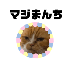 [LINEスタンプ] 18歳のまんちちゃんpart2