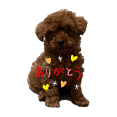 [LINEスタンプ] こじくんともことちびすけ