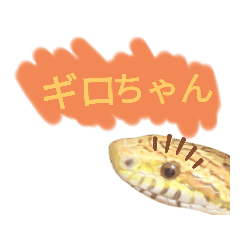 [LINEスタンプ] キャロちゃんと仲間達2