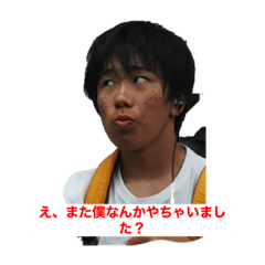 [LINEスタンプ] あおやぎとゆかいななかま