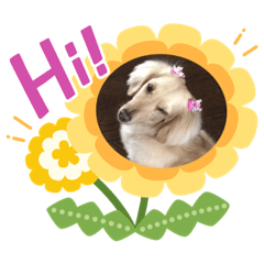 [LINEスタンプ] ダックスの1日