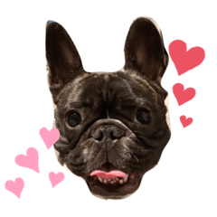 [LINEスタンプ] ViViの1日