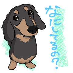 [LINEスタンプ] マロミン時々りりぃの日常