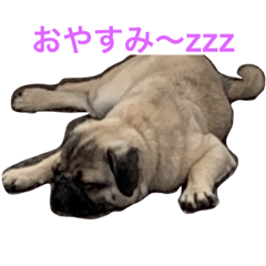 [LINEスタンプ] いくらの家族