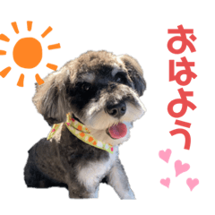 [LINEスタンプ] オズのオズによるオズの為のスタンプ