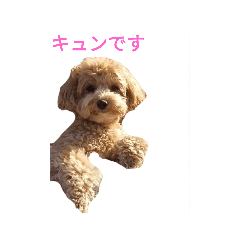 [LINEスタンプ] えーちゃんしか勝たん2