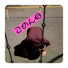 [LINEスタンプ] 謝罪日記スタンプ