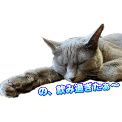 [LINEスタンプ] 可愛いペット大集合♪  No1