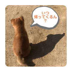 [LINEスタンプ] まめしばむぎ