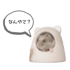 [LINEスタンプ] ハムスターのすいちゃん