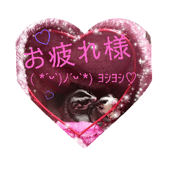[LINEスタンプ] ♥フクモモLIFE♥