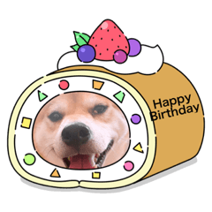[LINEスタンプ] 我が家のみかんのスタンプ