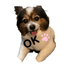 [LINEスタンプ] れっくん♡