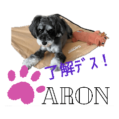 [LINEスタンプ] ARONちゃん