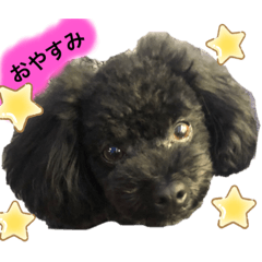 [LINEスタンプ] ろろ丸係長(挨拶編)