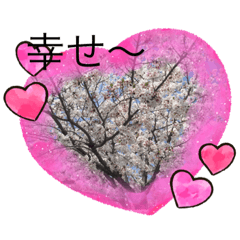 [LINEスタンプ] お花のスタンプだよ3