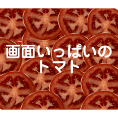 [LINEスタンプ] トマト tomato