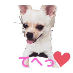 [LINEスタンプ] カイの日常2