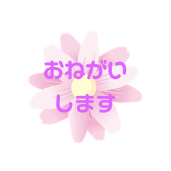 [LINEスタンプ] きもちをすなおにつたえよう