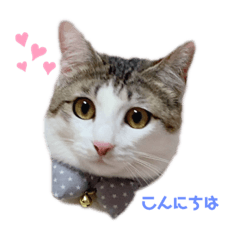 [LINEスタンプ] ドットちゃんです