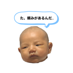 [LINEスタンプ] 羽泰んぷ vol.1