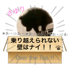 [LINEスタンプ] テンシン  さゆり①