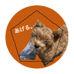 [LINEスタンプ] 盲目のいぬオルソすたんぷII