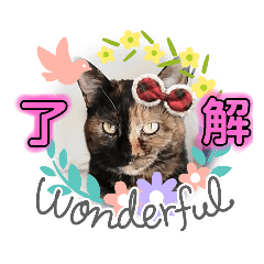 [LINEスタンプ] サビ猫ななち怖顔「了解」スタンプ