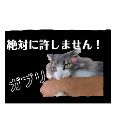 [LINEスタンプ] 絆工房