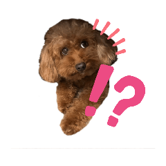 [LINEスタンプ] cocoaと仲間達の日常。