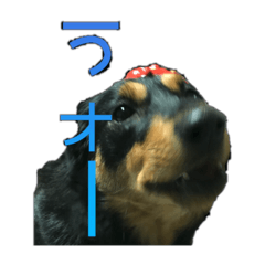 [LINEスタンプ] 豆のスタンプ1