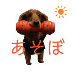 [LINEスタンプ] 4匹兄弟