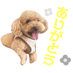[LINEスタンプ] ワッフルちゃんスタンプ2