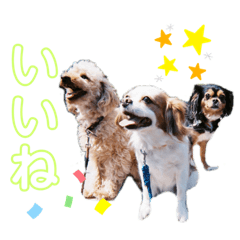 [LINEスタンプ] R.C.A