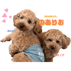 [LINEスタンプ] のありおの生活