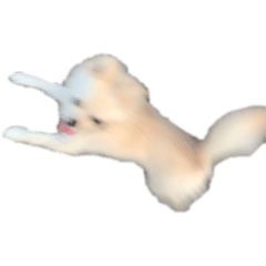 [LINEスタンプ] 練りものイッヌ