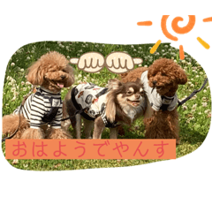 [LINEスタンプ] さぶやんが飼ってるLuke