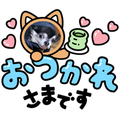 [LINEスタンプ] あびふみ