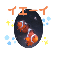 [LINEスタンプ] アクアリウムりんこ1