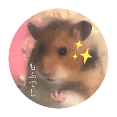 [LINEスタンプ] もふもふのもふっ