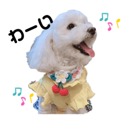 [LINEスタンプ] ふわころちゃん