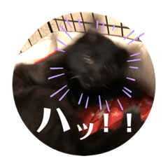 [LINEスタンプ] あじ丸スタンプ2