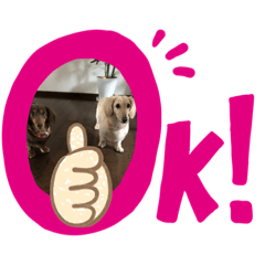 [LINEスタンプ] ダックスの仲間