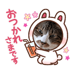 [LINEスタンプ] ねこちゃん2(=^・^=)