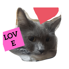 [LINEスタンプ] ふわふわ蘭ちゃん❤️