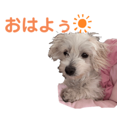 [LINEスタンプ] はぴたんスタンプ