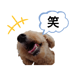 [LINEスタンプ] なっつスタイル