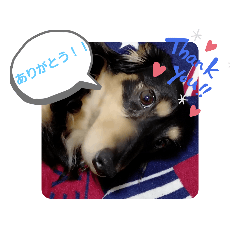 [LINEスタンプ] クロマメの日常