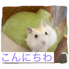 [LINEスタンプ] 日常使い 敬語