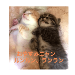 [LINEスタンプ] ルンルン・ランラン